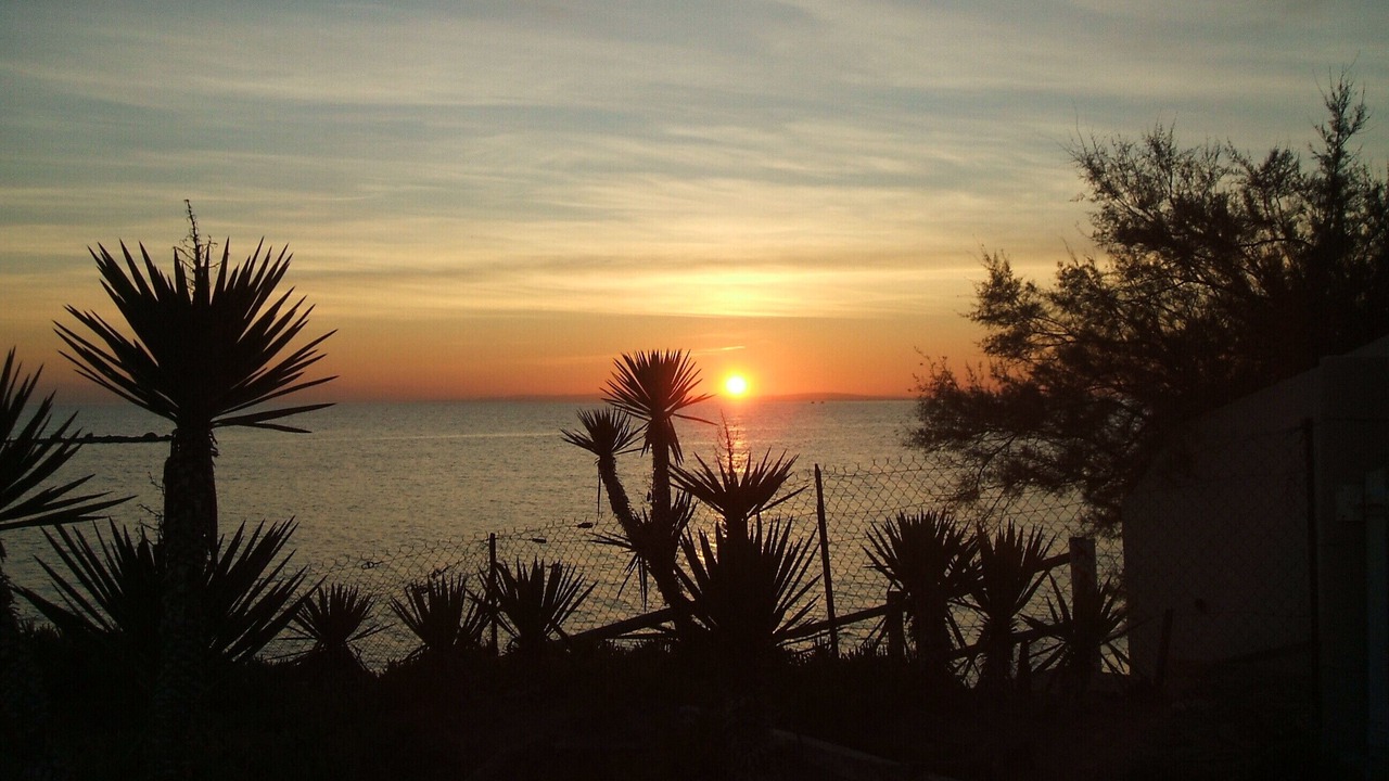 Photo of Others in Le Grau-dʼAgde