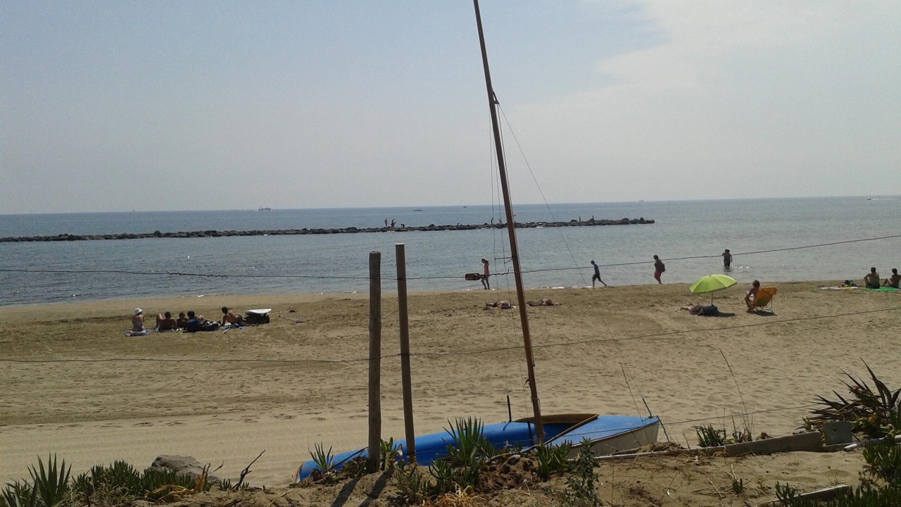 Photo of Others in Le Grau-dʼAgde