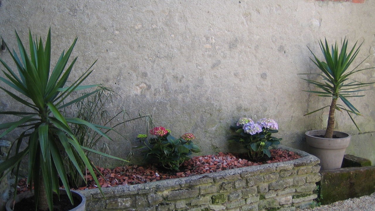 Photo of Outdoor in Bayeux