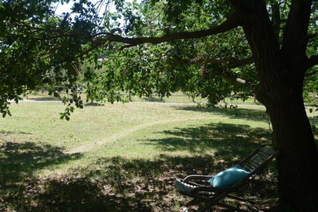 Photo of Outdoor in Verzeille
