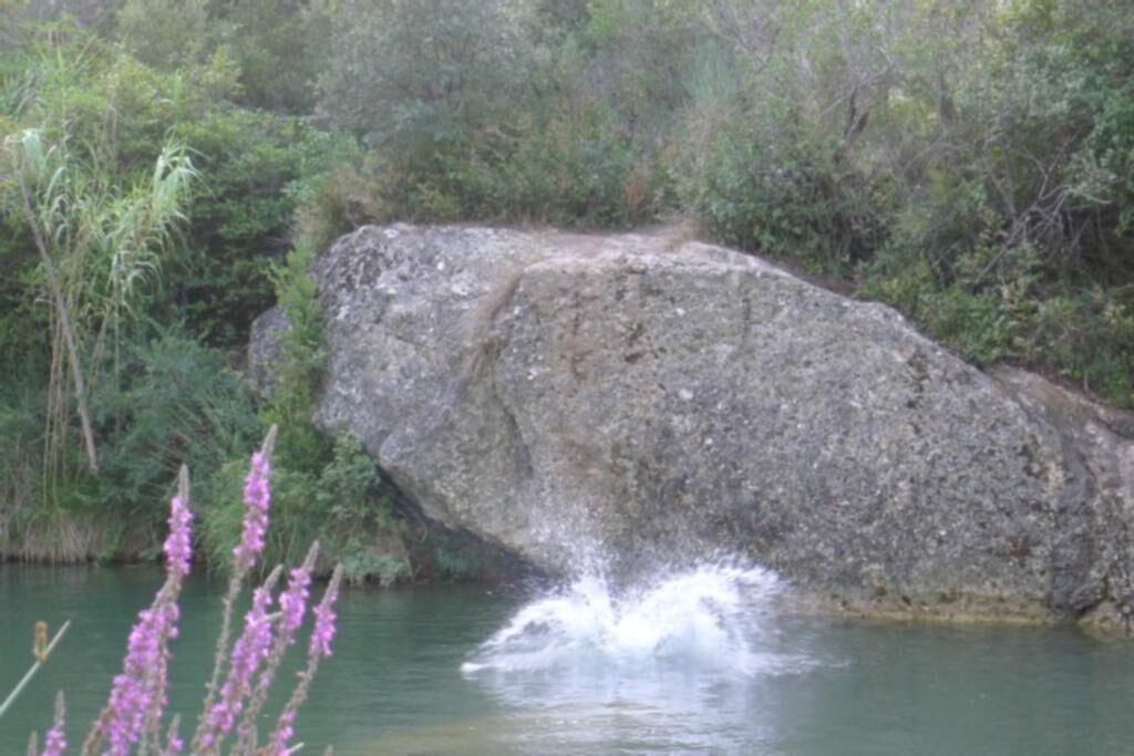 Photo of Outdoor in Verzeille