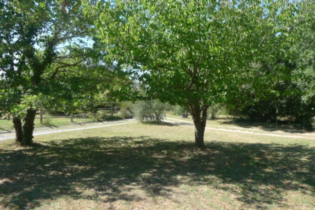 Photo of Outdoor in Verzeille