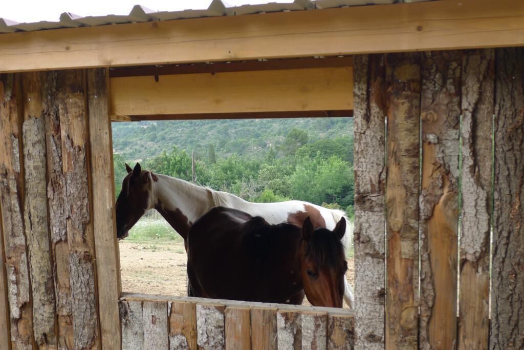 Photo of Outdoor in Verzeille