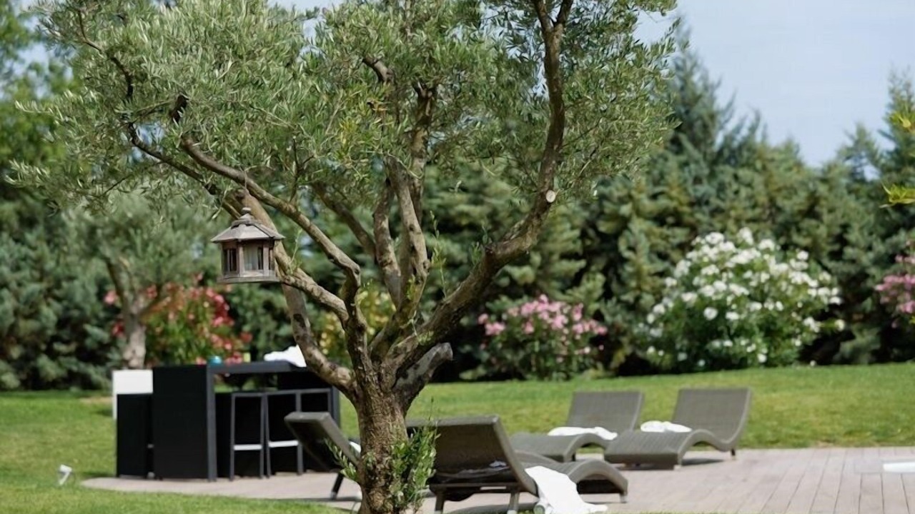 Photo of Outdoor in Vendargues