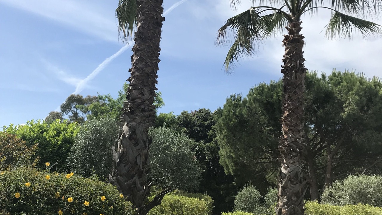 Photo of Outdoor in Vendargues