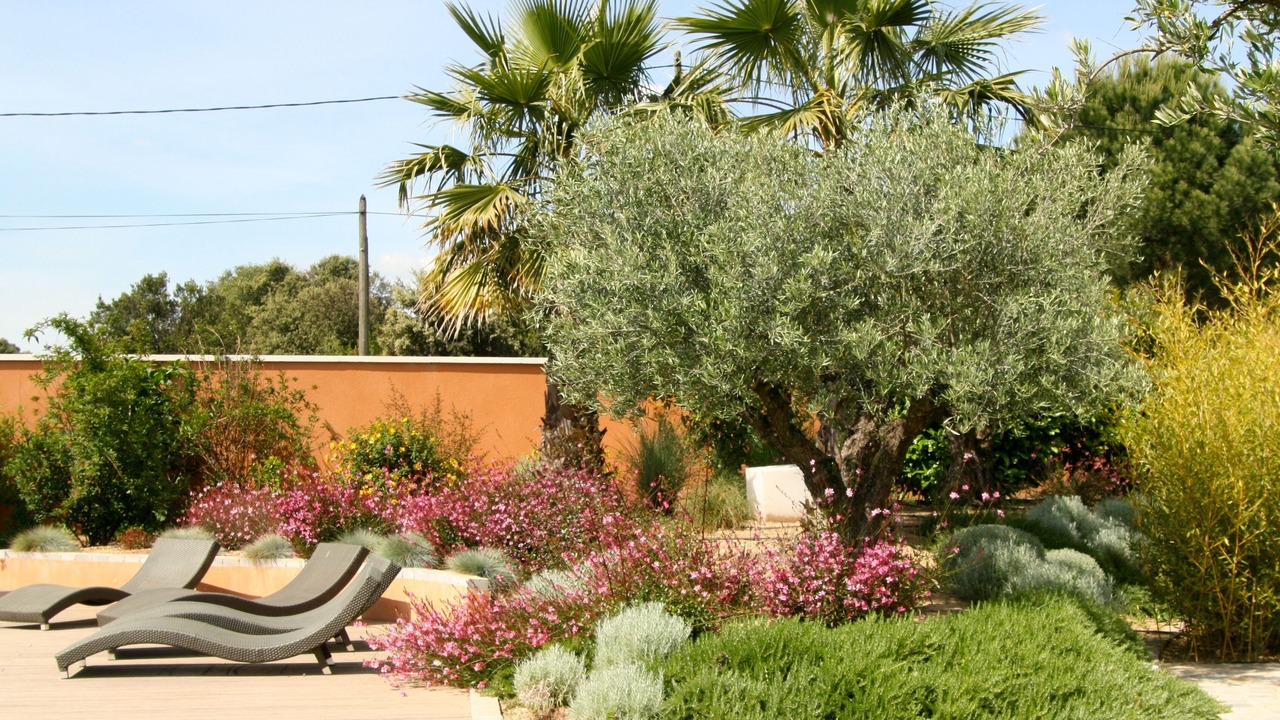 Photo of Others in Vendargues