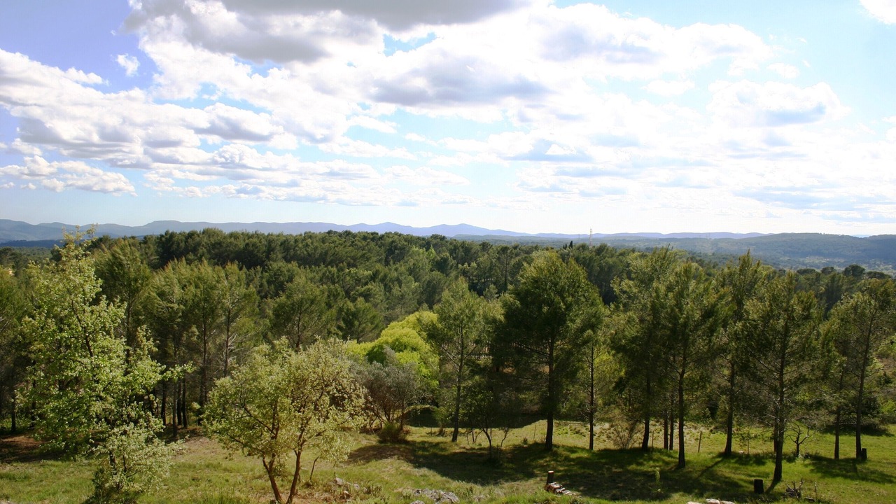 Photo of Outdoor in Draguignan