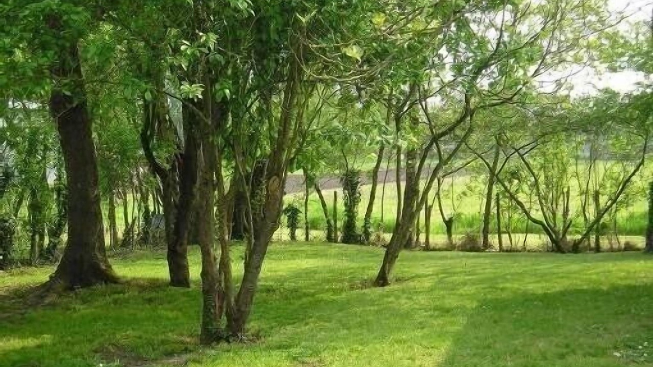 Photo of Outdoor in Damvix