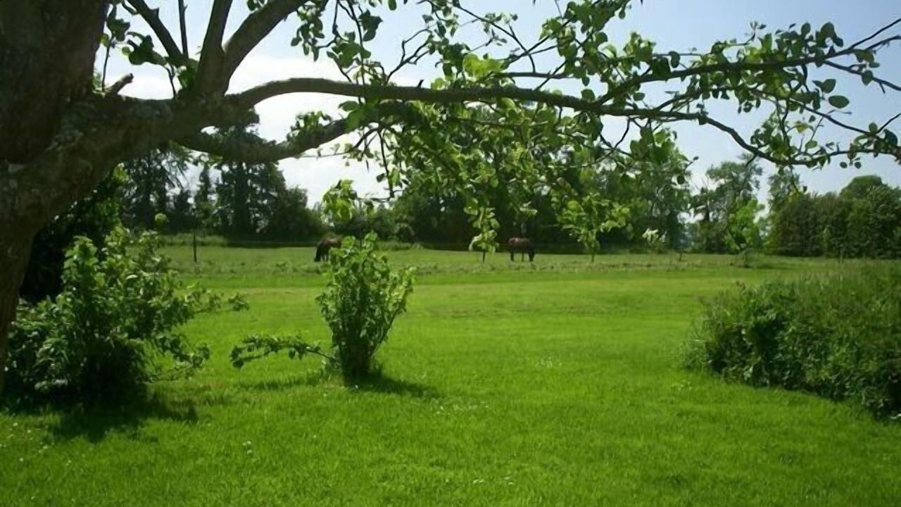 Photo of Others in Mandeville-en-Bessin