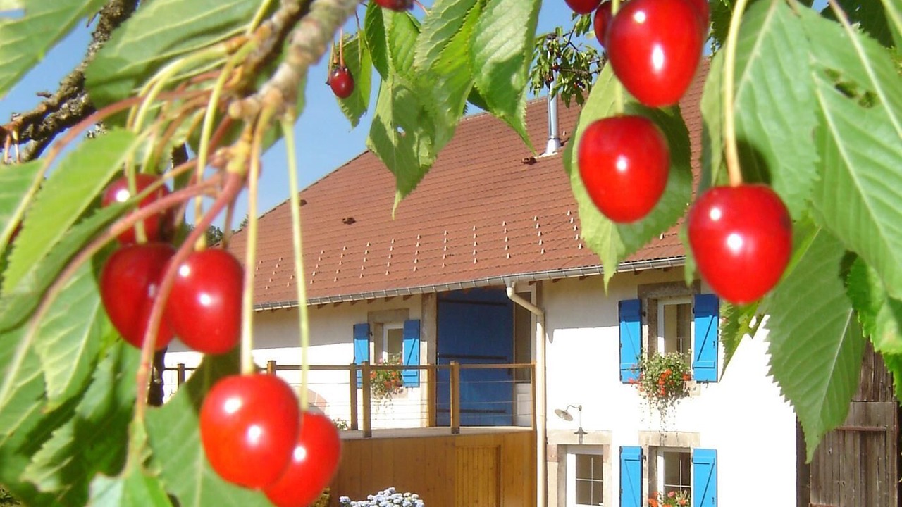 Photo of Outdoor in Girmont-Val-d'Ajol