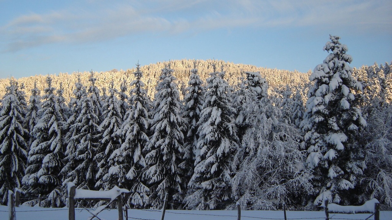 Photo of Others in Girmont-Val-d'Ajol