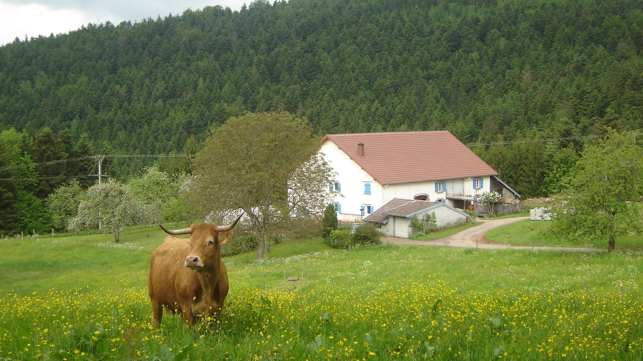 Photo of Outdoor in Girmont-Val-d'Ajol