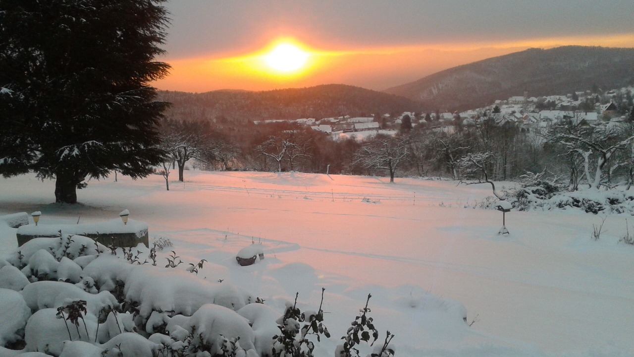 Photo of Others in Thannenkirch
