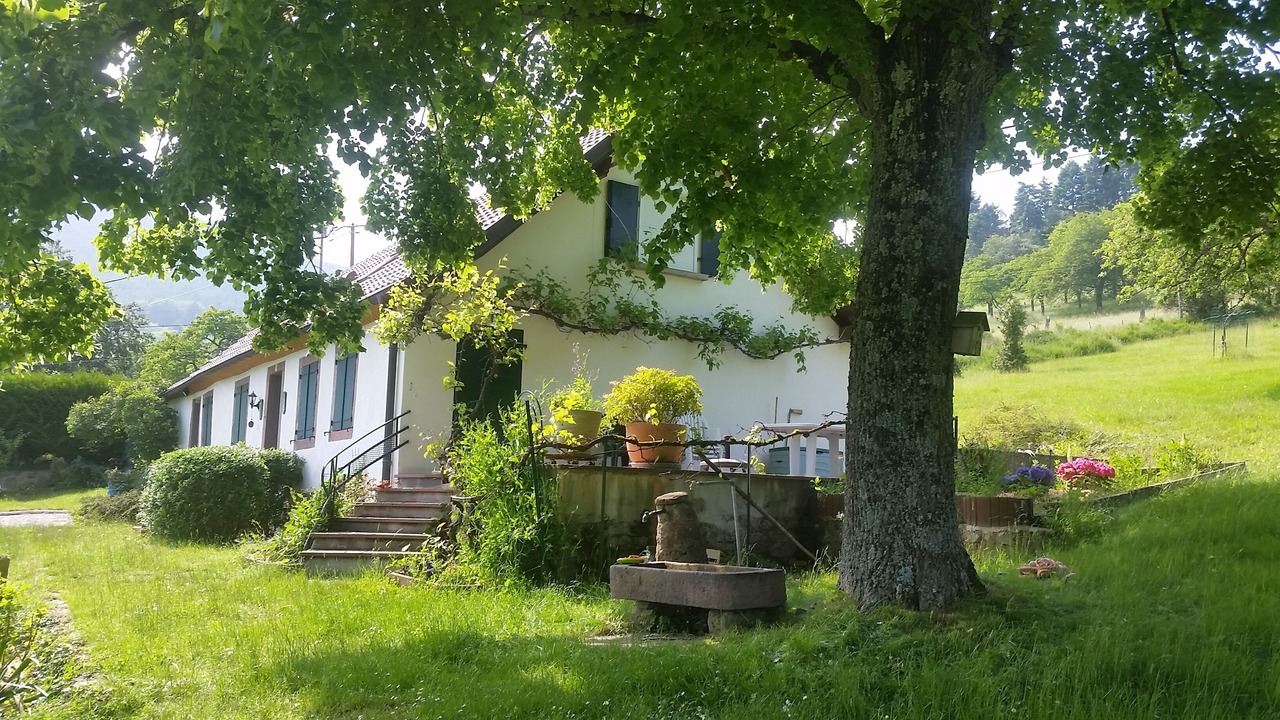 Photo of Outdoor in Thannenkirch
