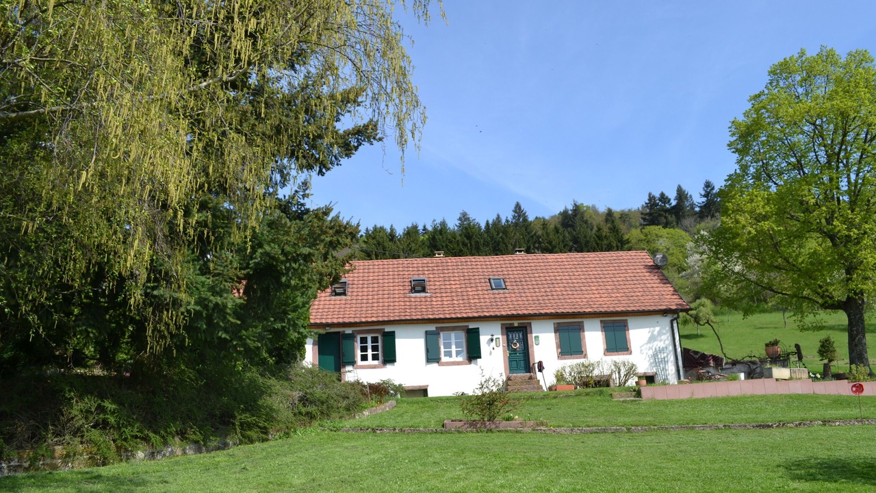 Photo of Outdoor in Thannenkirch