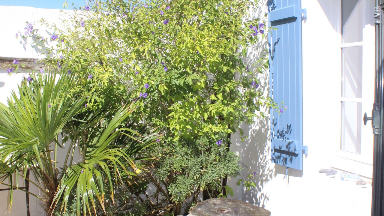 Photo of Patio Balcony in Noirmoutier-en-l'Ile