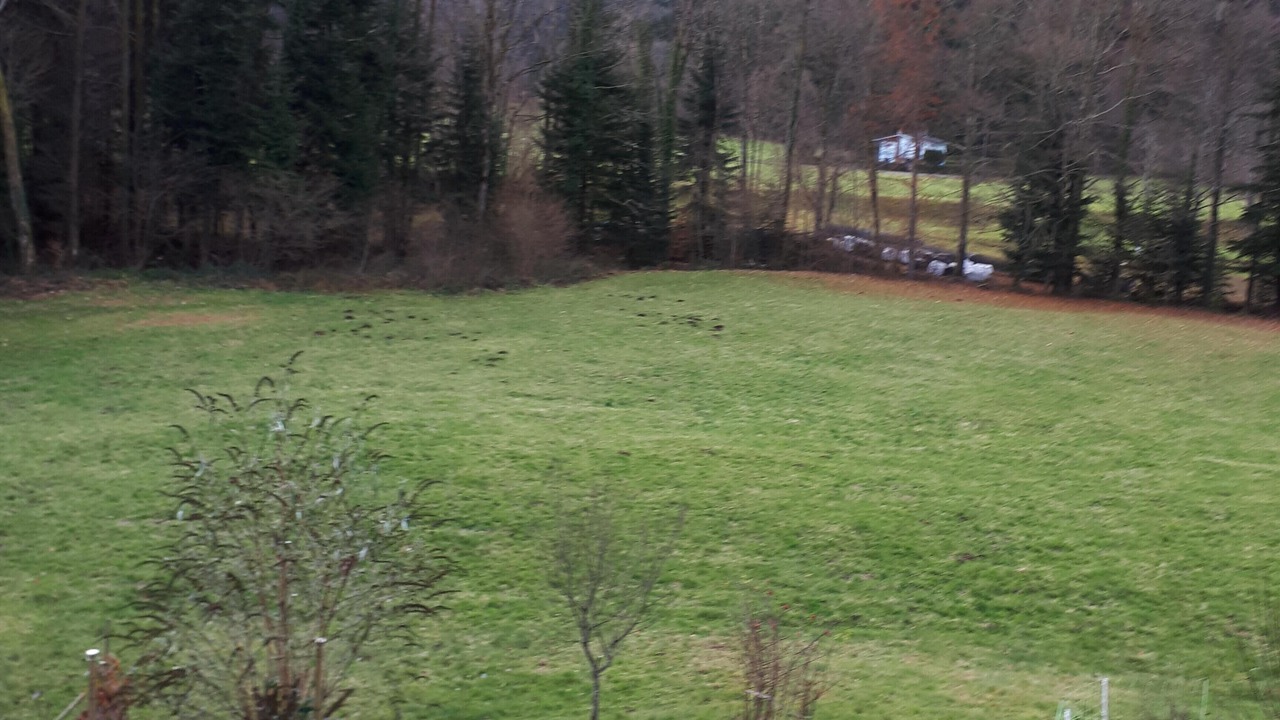 Photo of Outdoor in Saint-Maurice-sur-Moselle