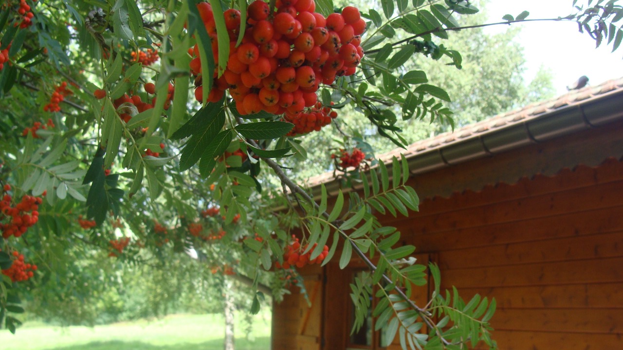 Photo of Outdoor in Taintrux