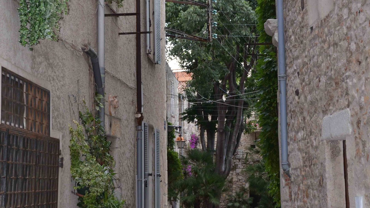Photo of Outdoor in Antibes City Centre