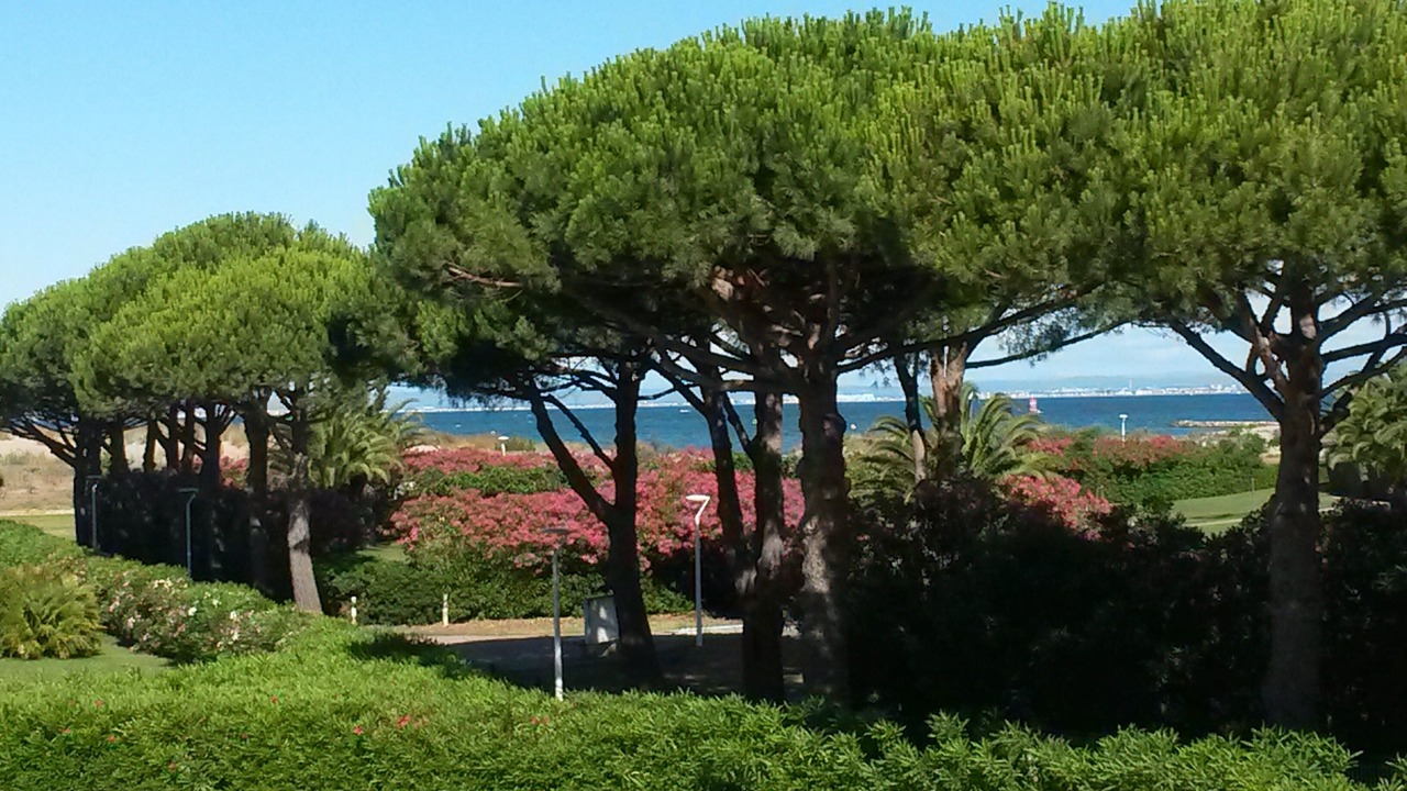 Photo of Outdoor in Le Grau-Du-Roi