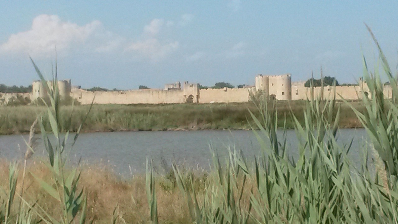Photo of Others in Le Grau-Du-Roi