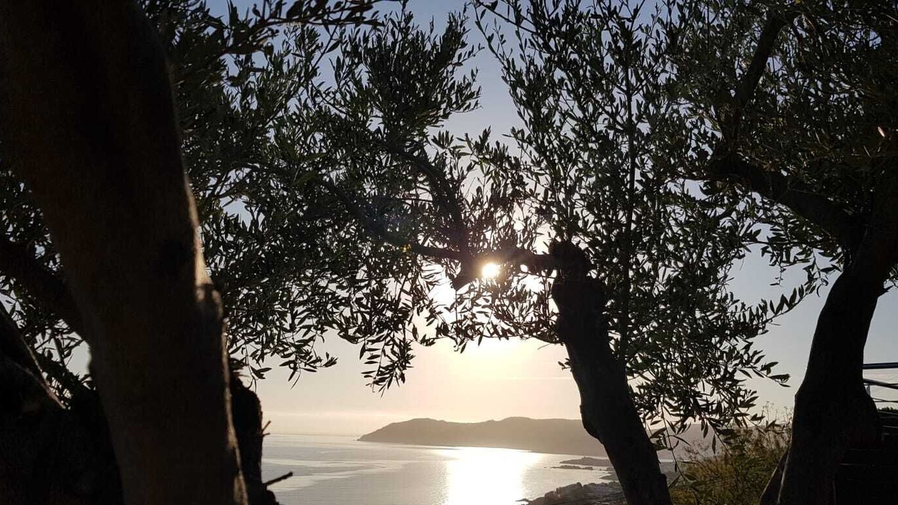 Photo of Outdoor in Llanca