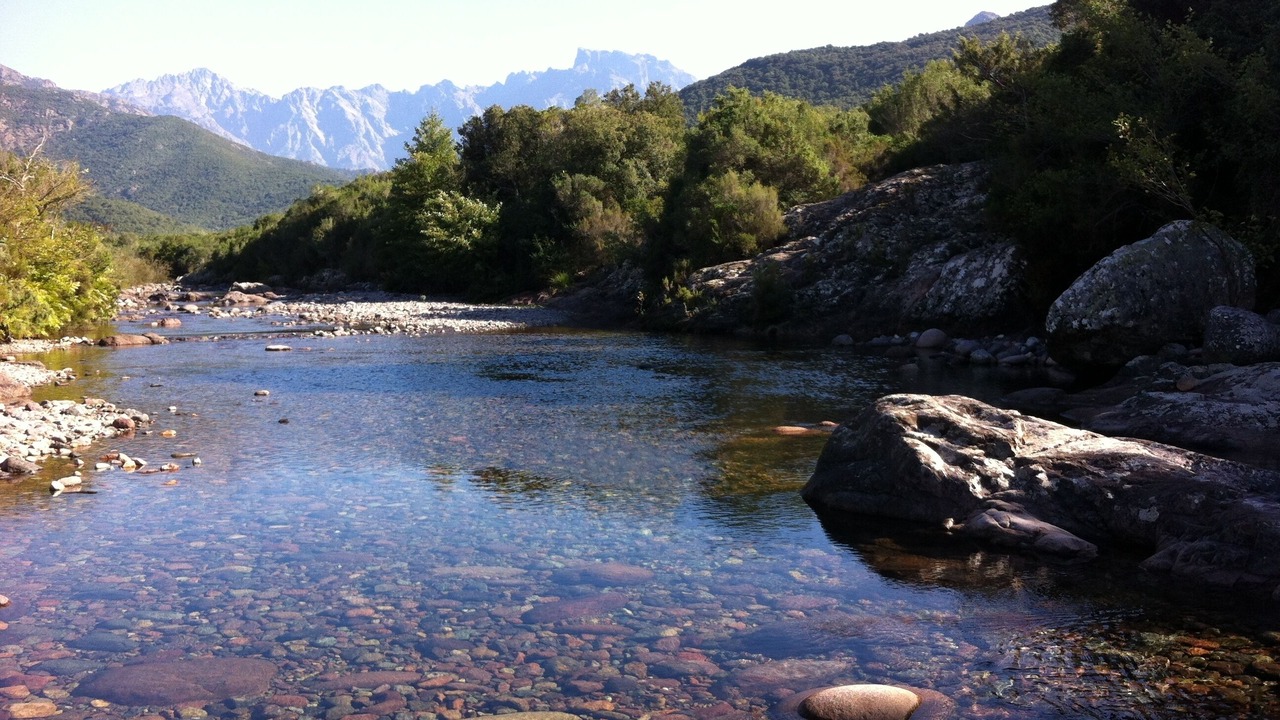 Photo of Others in Calvi