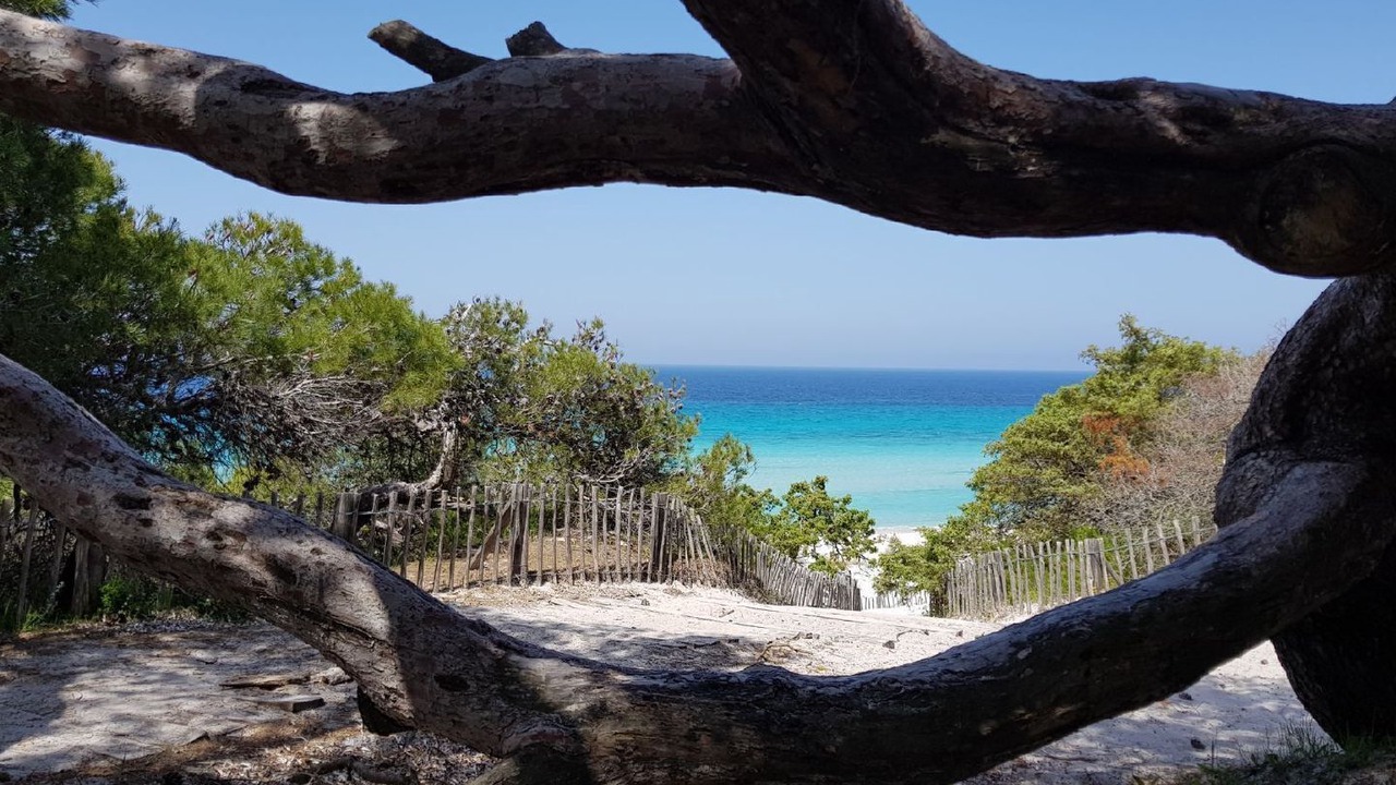 Photo of Outdoor in Calvi