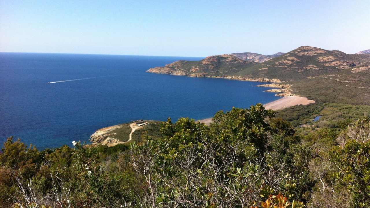 Photo of Others in Calvi