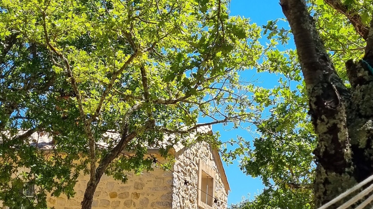 Photo of Outdoor in Lussan