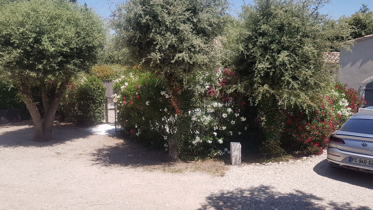 Photo of Outdoor in Eygalieres