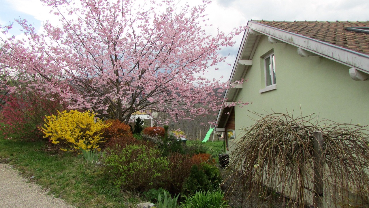 Photo of Outdoor in Fellering