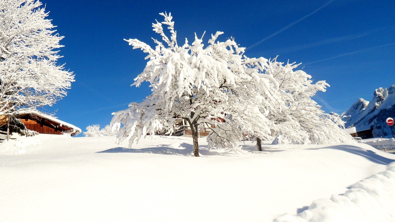 Photo of Outdoor in La Clusaz