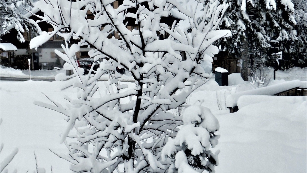 Photo of Outdoor in La Clusaz