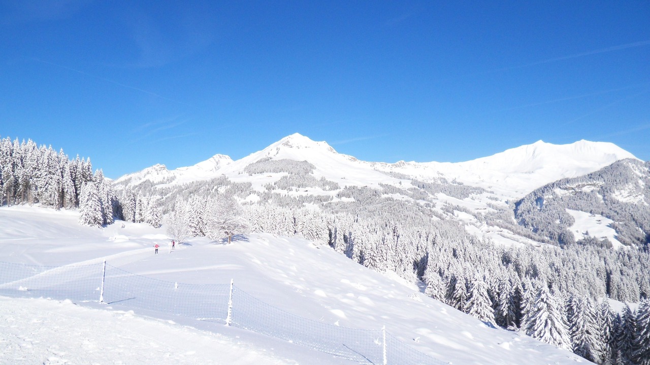 Photo of Others in La Clusaz
