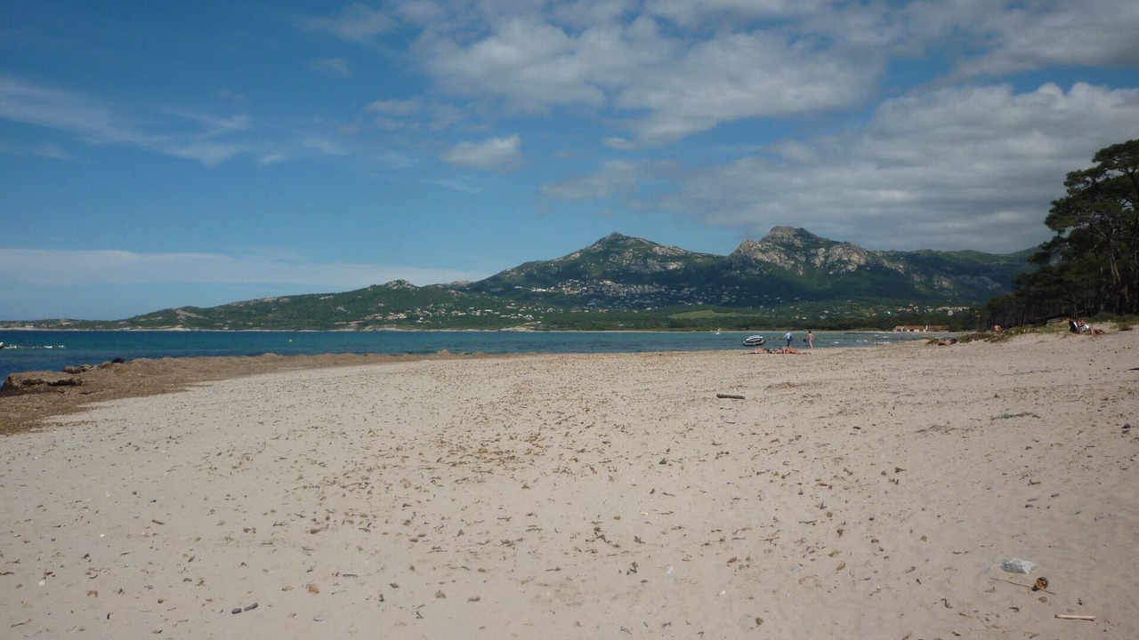 Photo of Others in Calvi