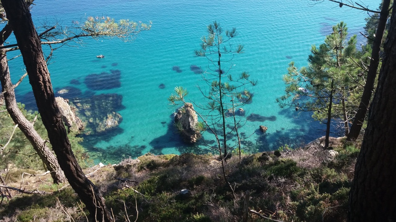 Photo of Others in Crozon