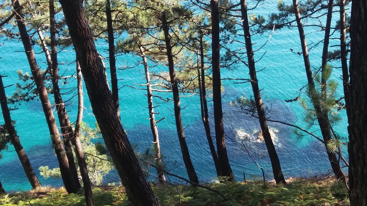 Photo of Others in Crozon