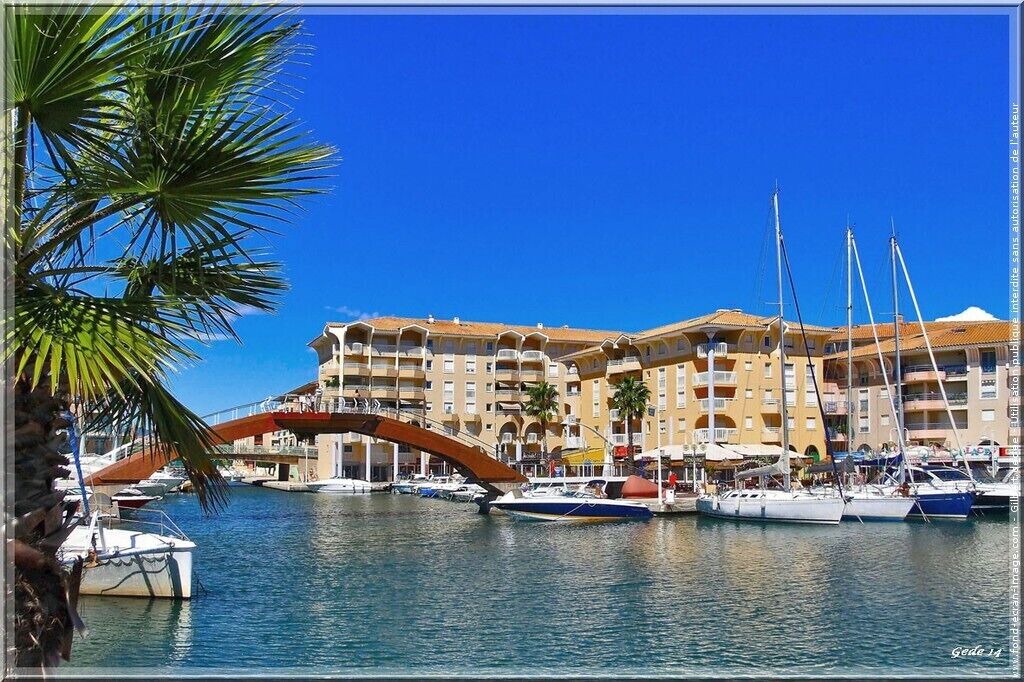 Photo of Others in Frejus Port