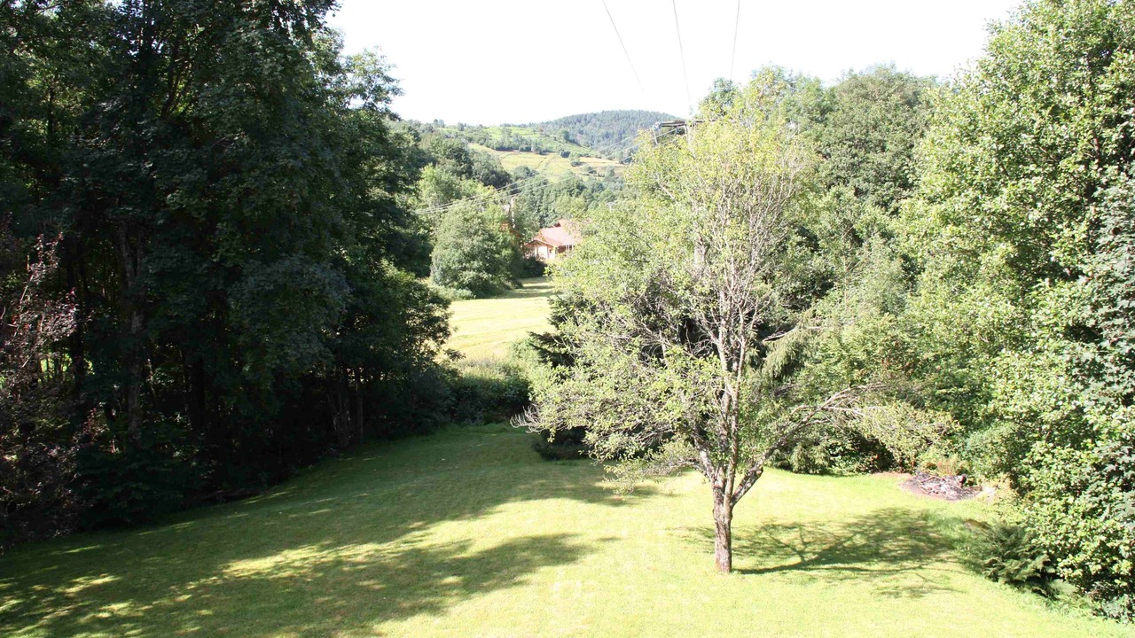 Photo of Outdoor in Basse-sur-le-Rupt
