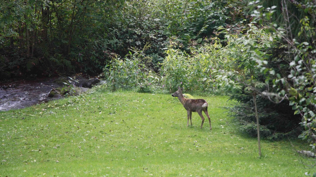 Photo of Outdoor in Basse-sur-le-Rupt
