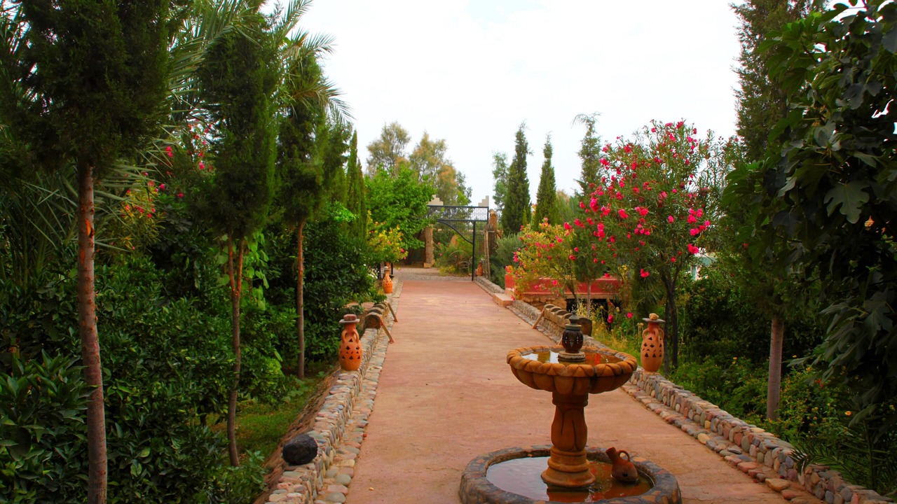 Photo of Outdoor in Skoura