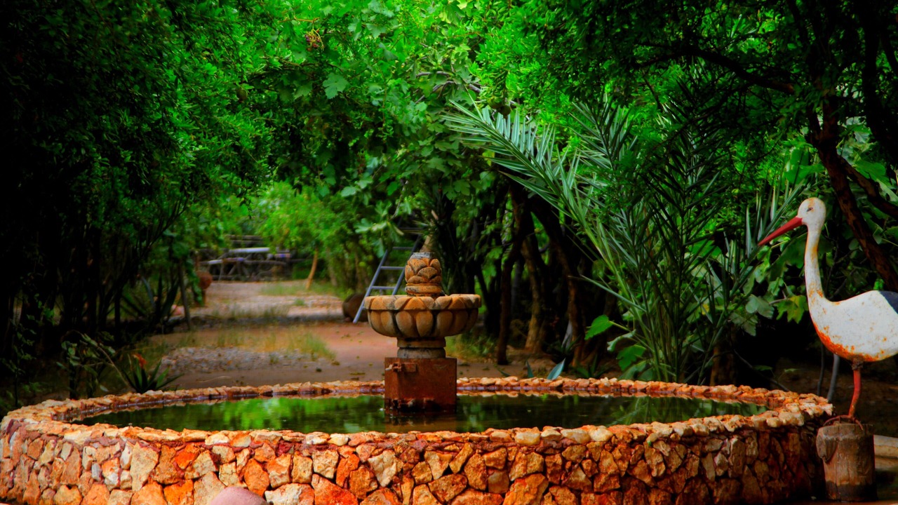 Photo of Outdoor in Skoura