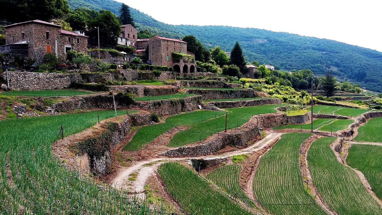 Photo of Outdoor in Navas