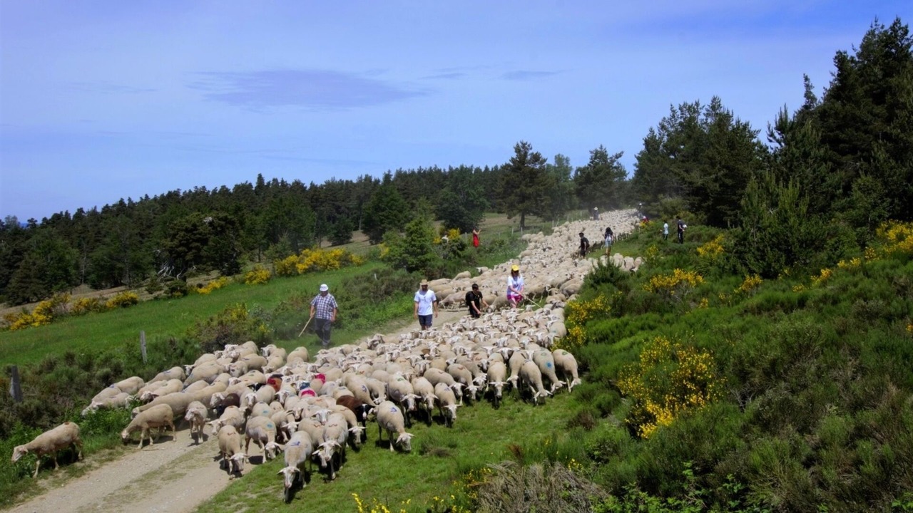 Photo of Outdoor in Navas