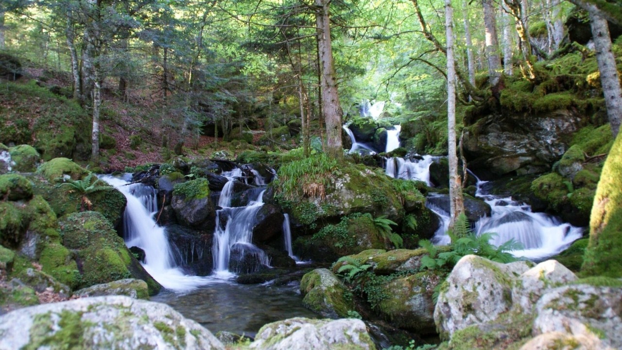 Photo of Outdoor in Navas