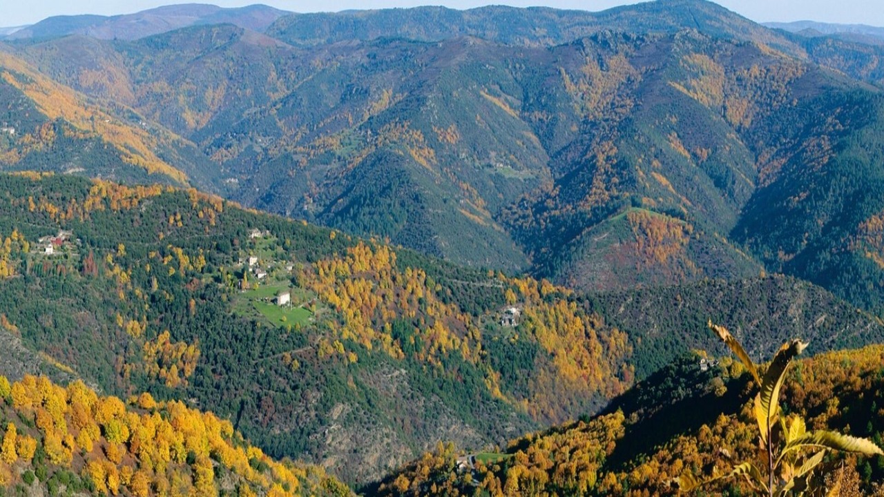 Photo of Outdoor in Navas