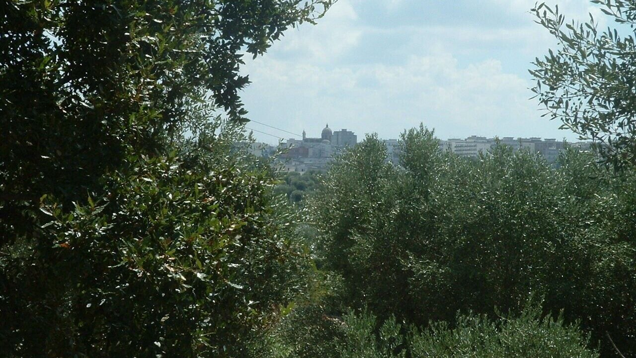 Photo of Outdoor in Ceglie Messapica