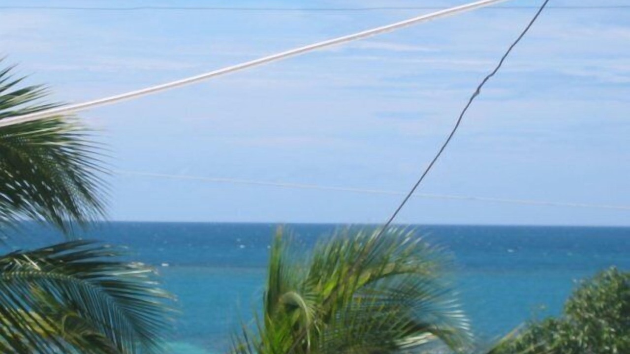 Photo of Others in Montalva