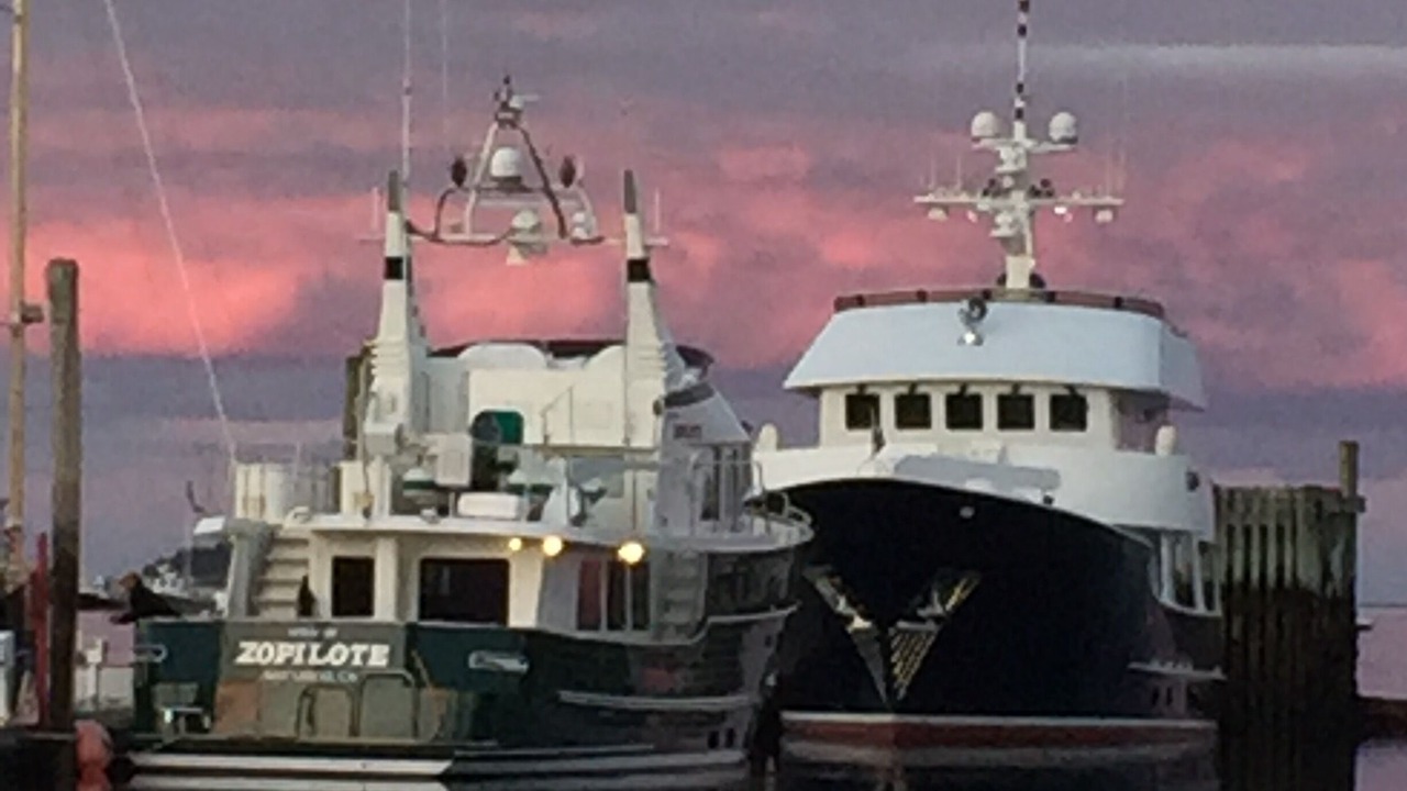 Photo of Others in Southwest Harbor